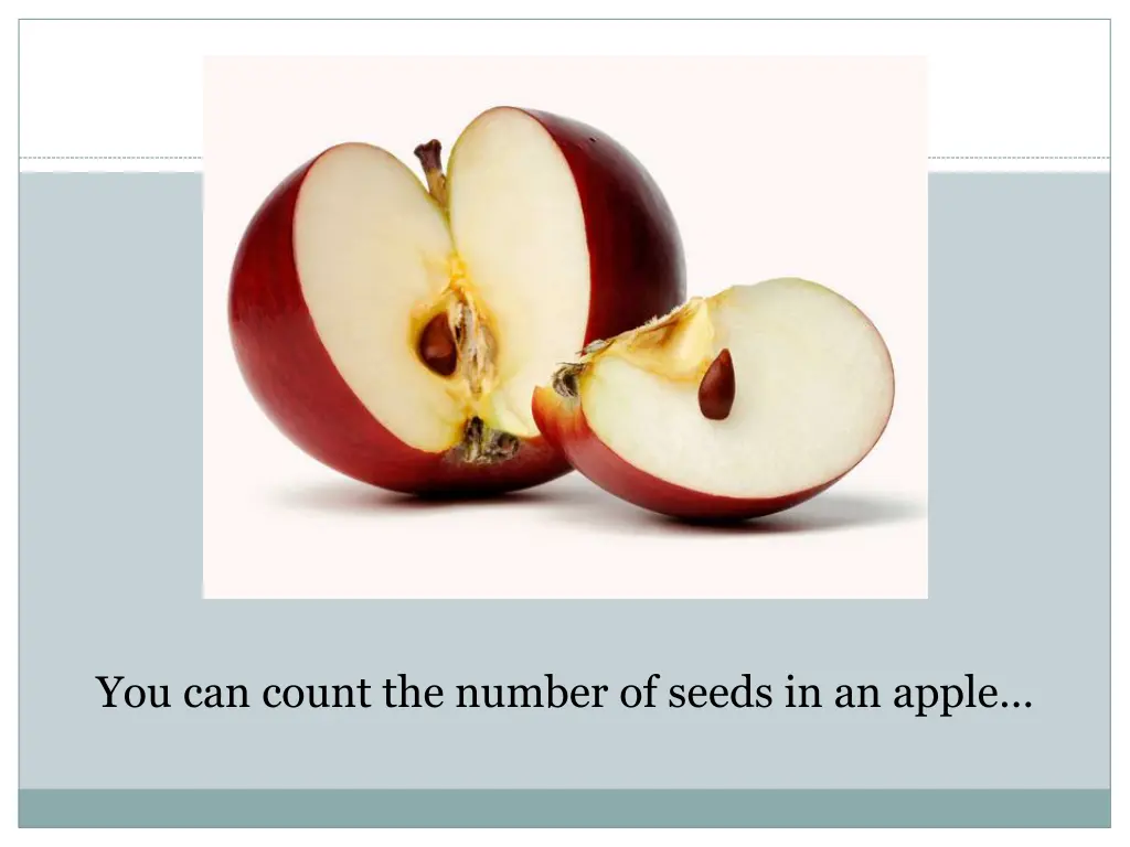 you can count the number of seeds in an apple