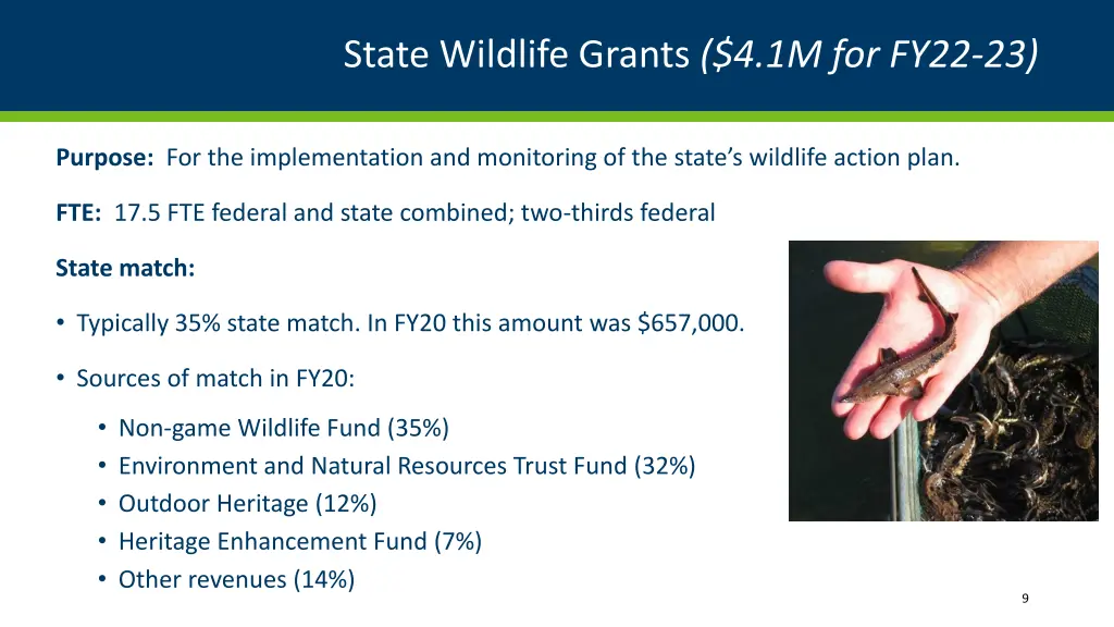 state wildlife grants 4 1m for fy22 23