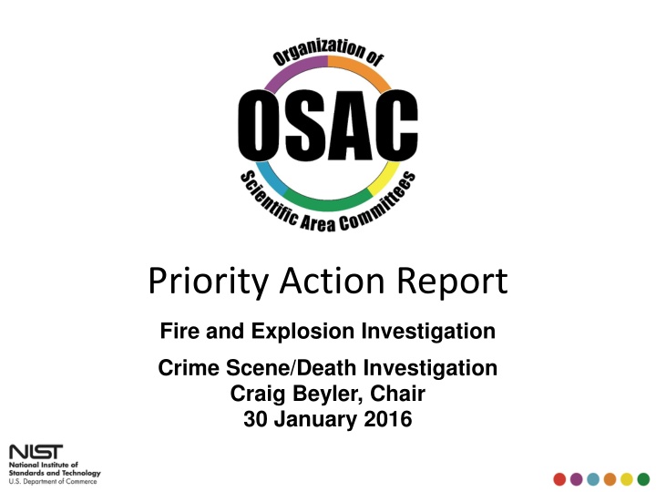 priority action report