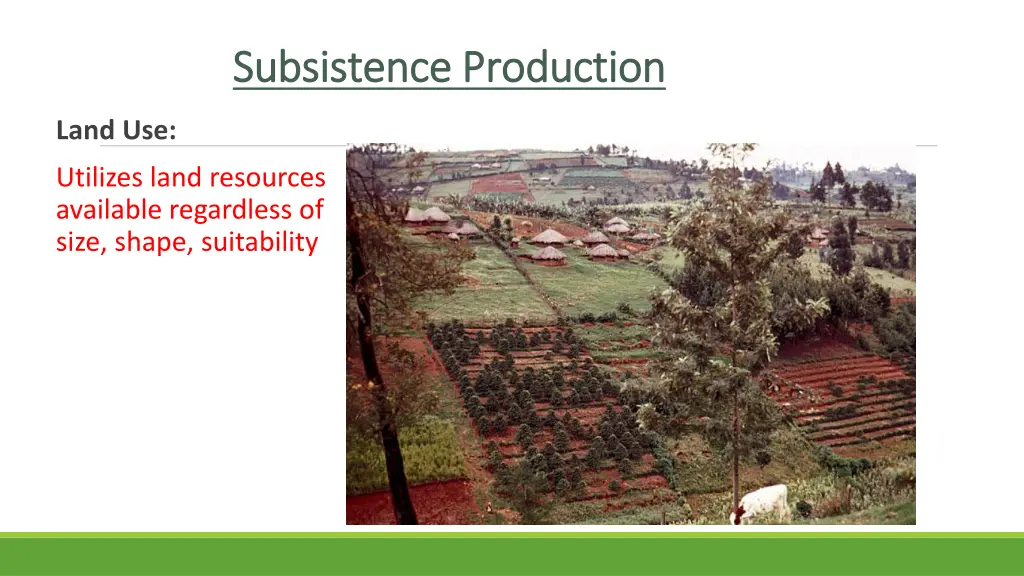 subsistence production subsistence production 1