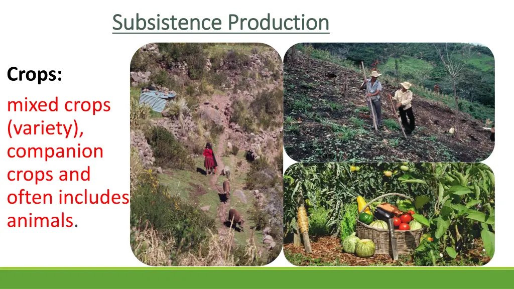 subsistence production subsistence production 2