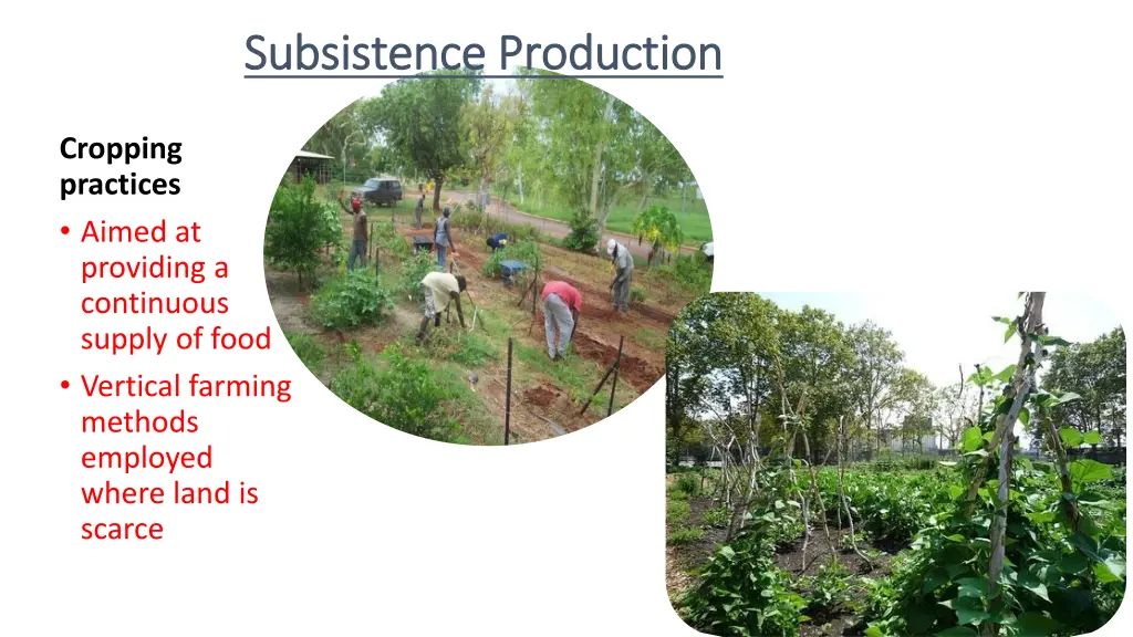 subsistence production subsistence production 3