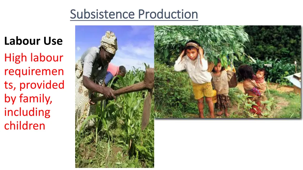 subsistence production subsistence production 4