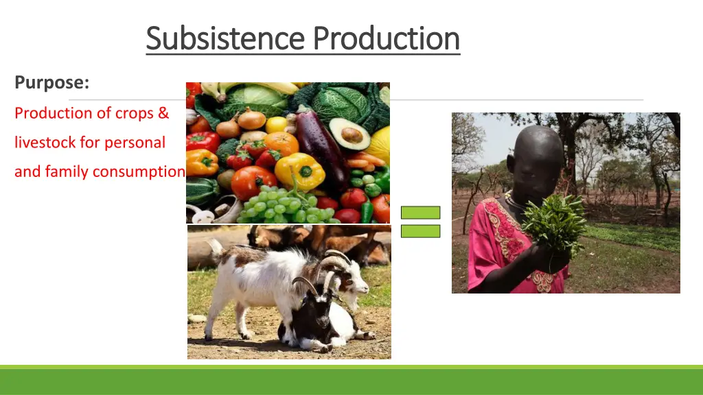 subsistence production subsistence production