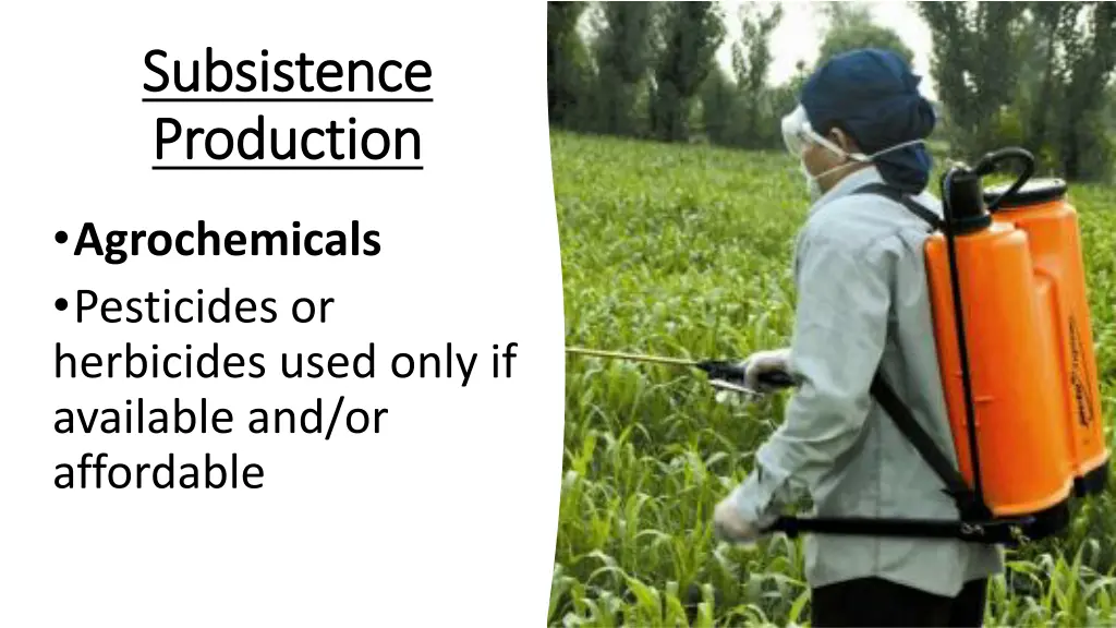 subsistence subsistence production production