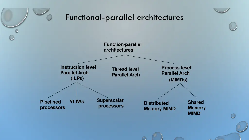 functional parallel architectures