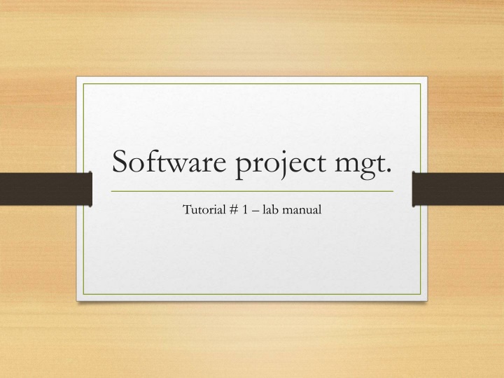 software project mgt
