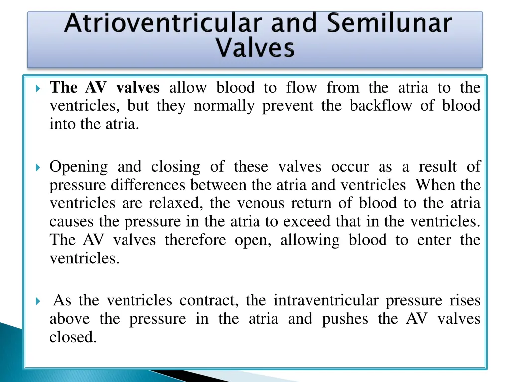 the av valves allow blood to flow from the atria