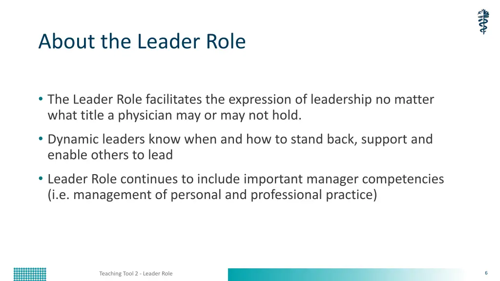about the leader role