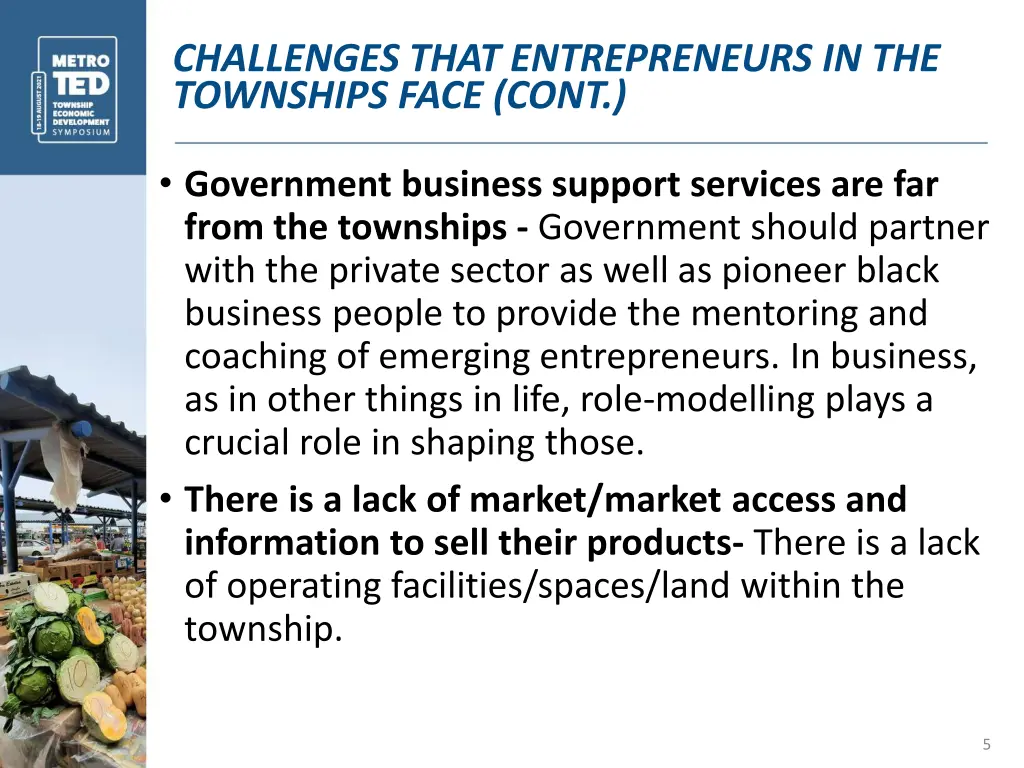 challenges that entrepreneurs in the townships 1