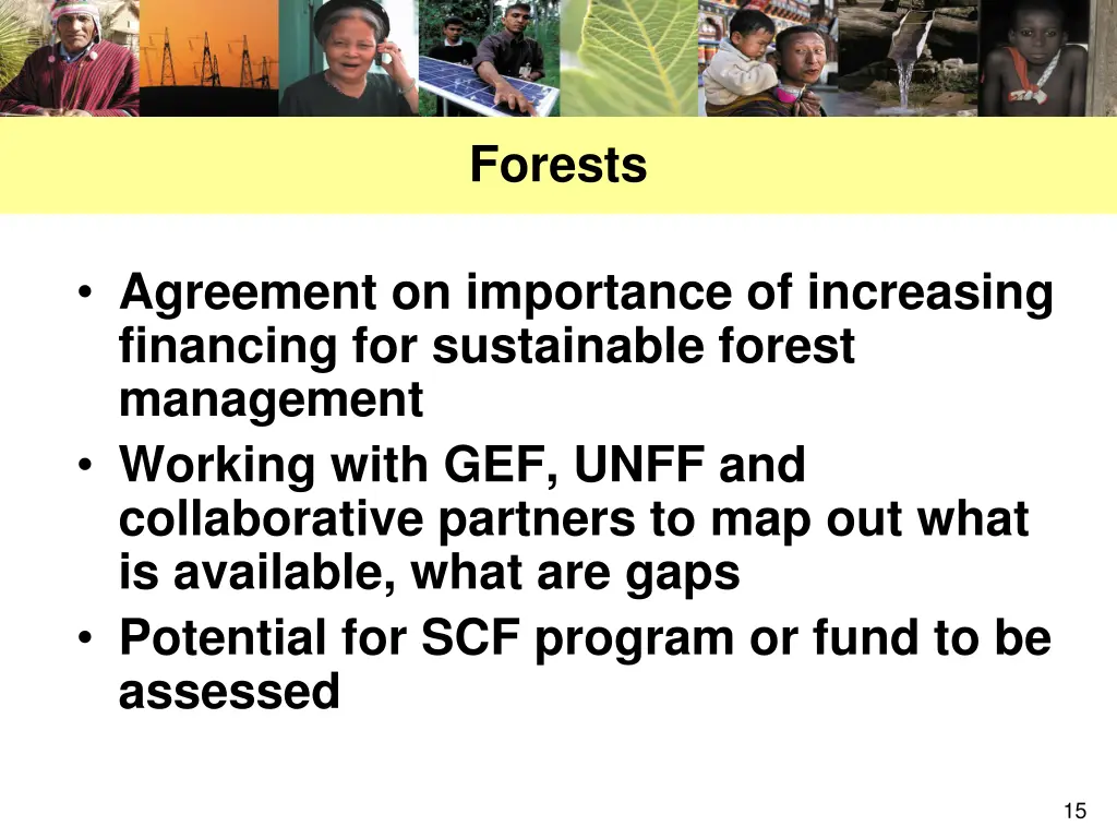 forests