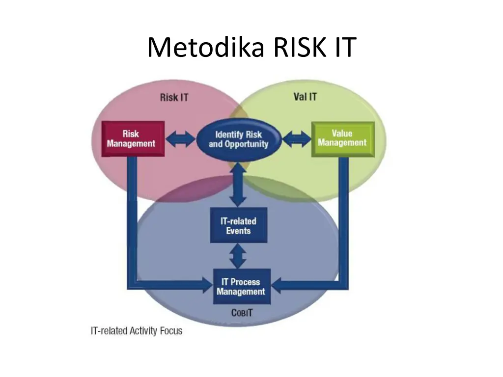 metodika risk it