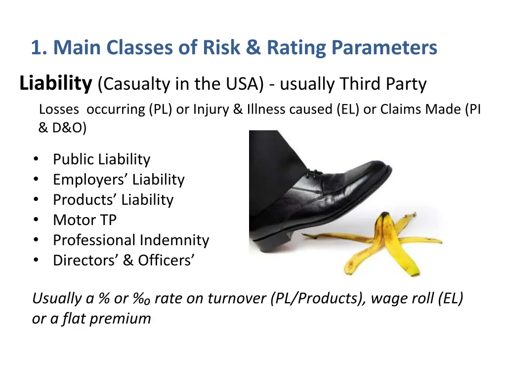 1 main classes of risk rating parameters 1