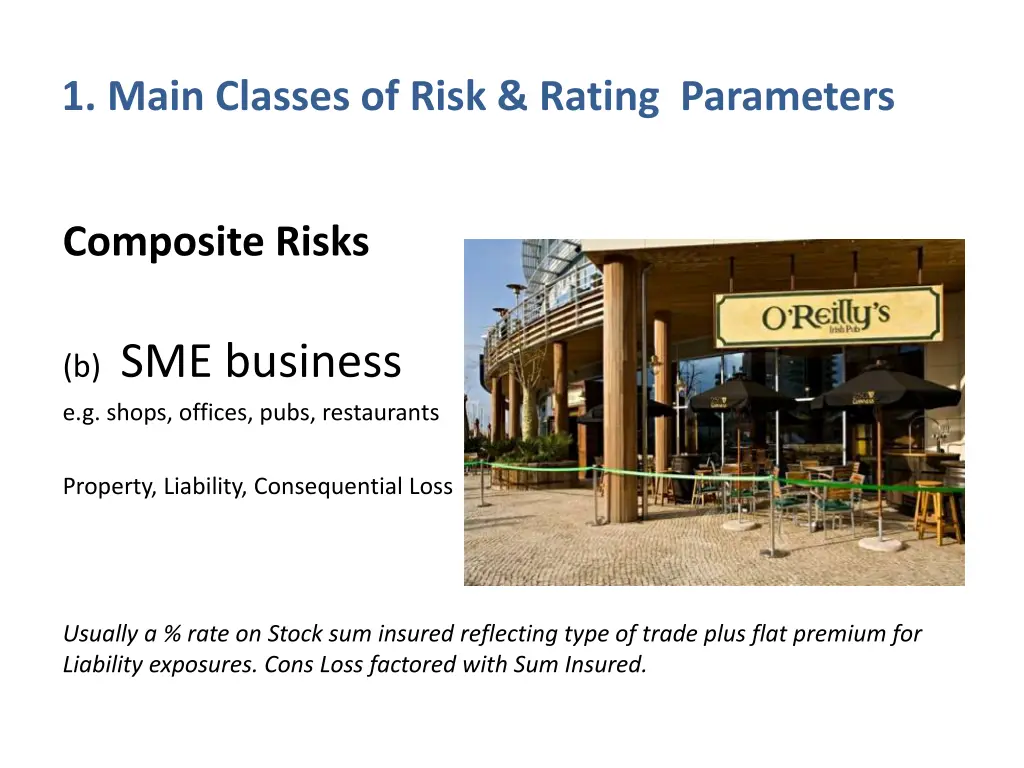 1 main classes of risk rating parameters 3