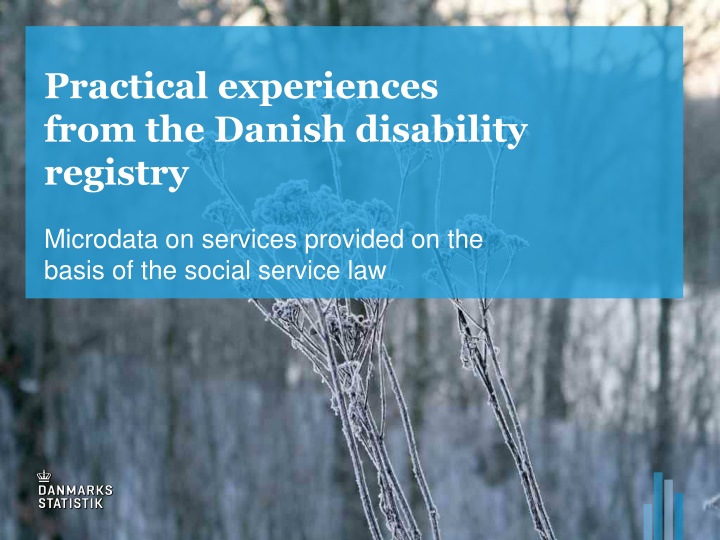 practical experiences from the danish disability