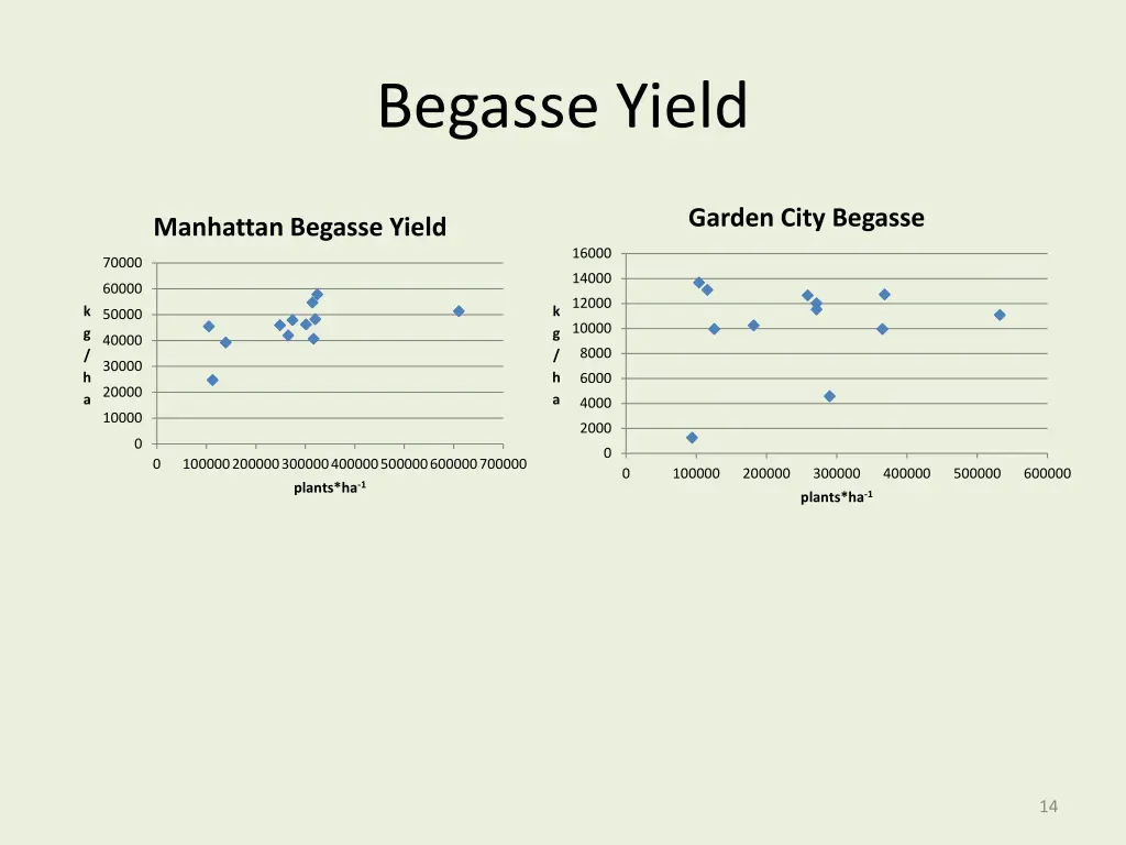 begasse yield