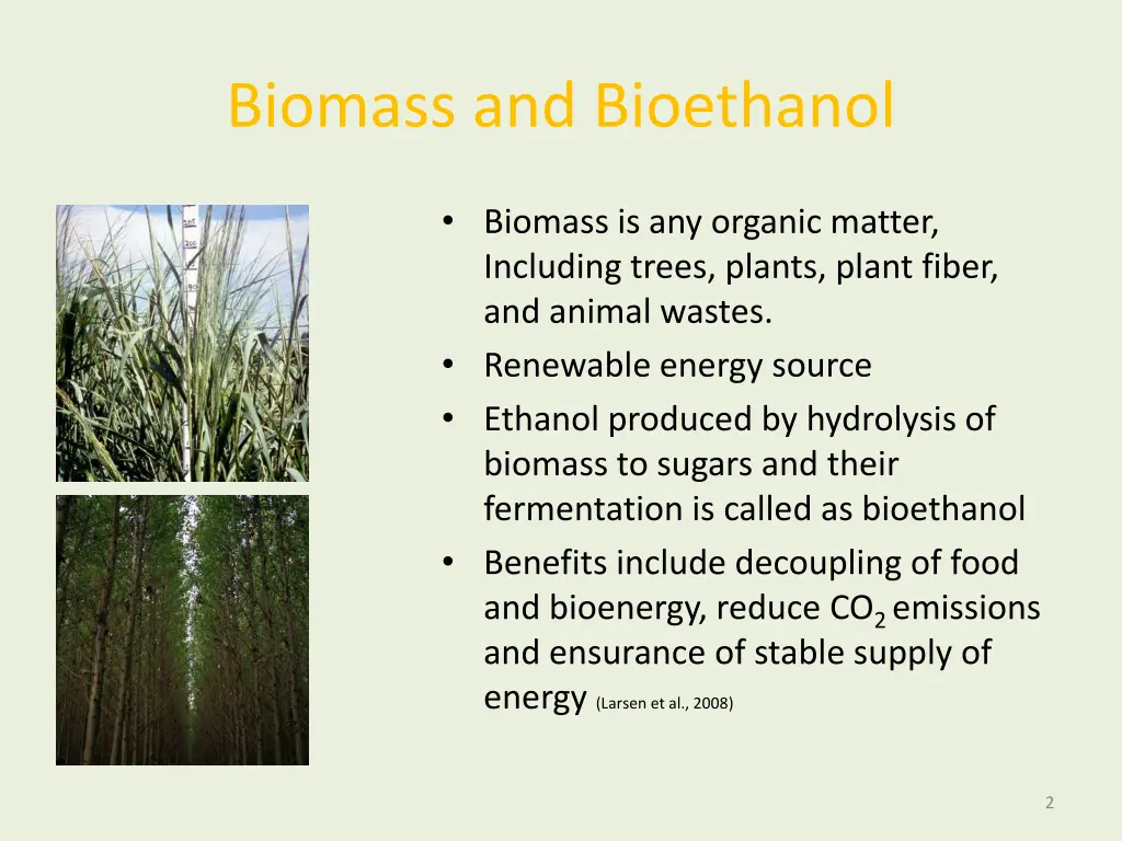 biomass and bioethanol