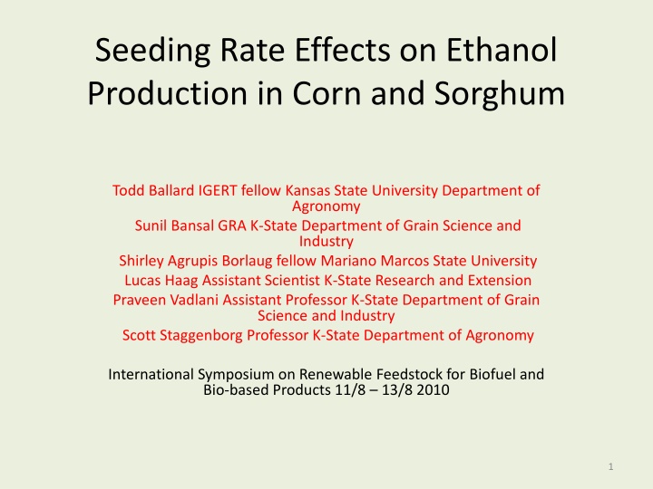 seeding rate effects on ethanol production