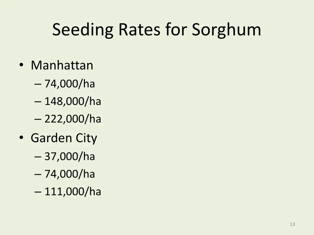 seeding rates for sorghum