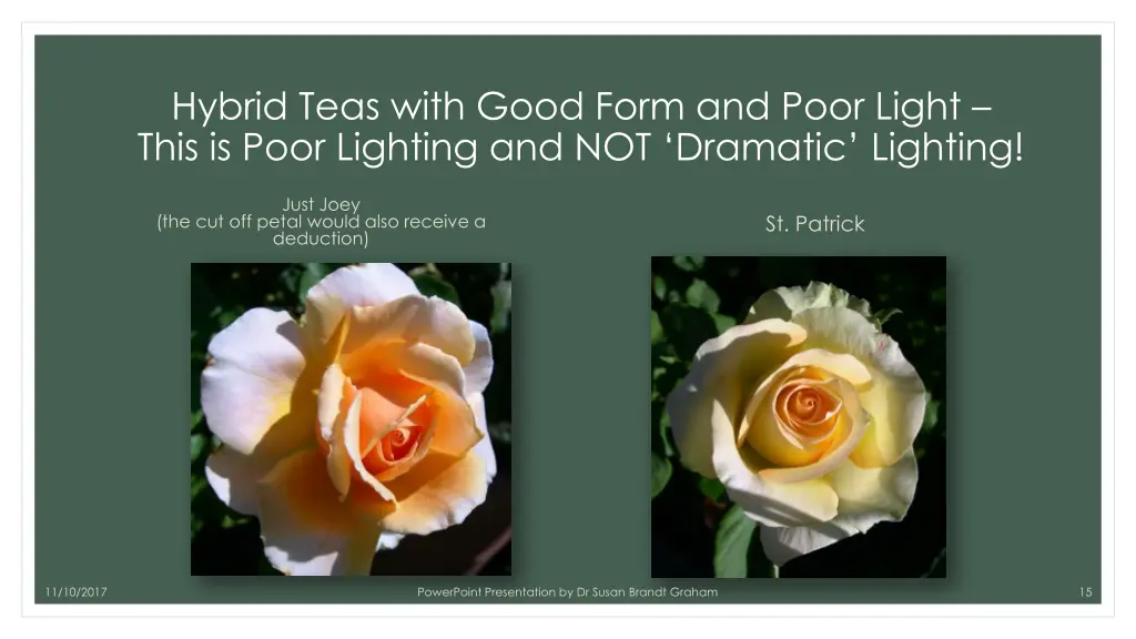 hybrid teas with good form and poor light this