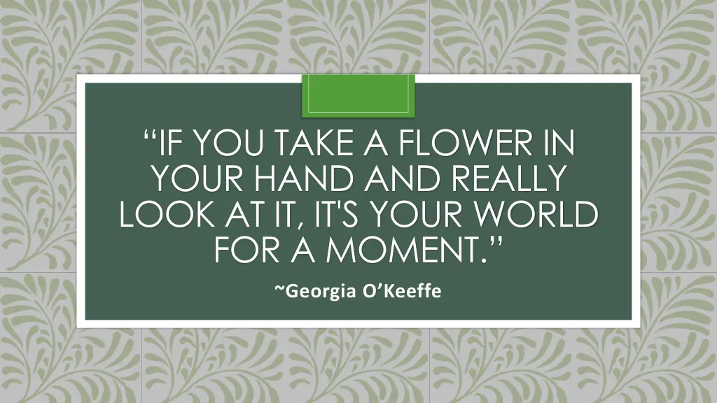 if you take a flower in your hand and really look
