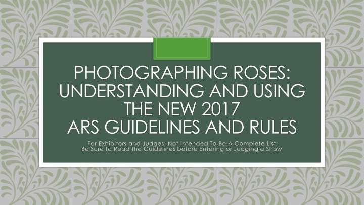 photographing roses understanding and using