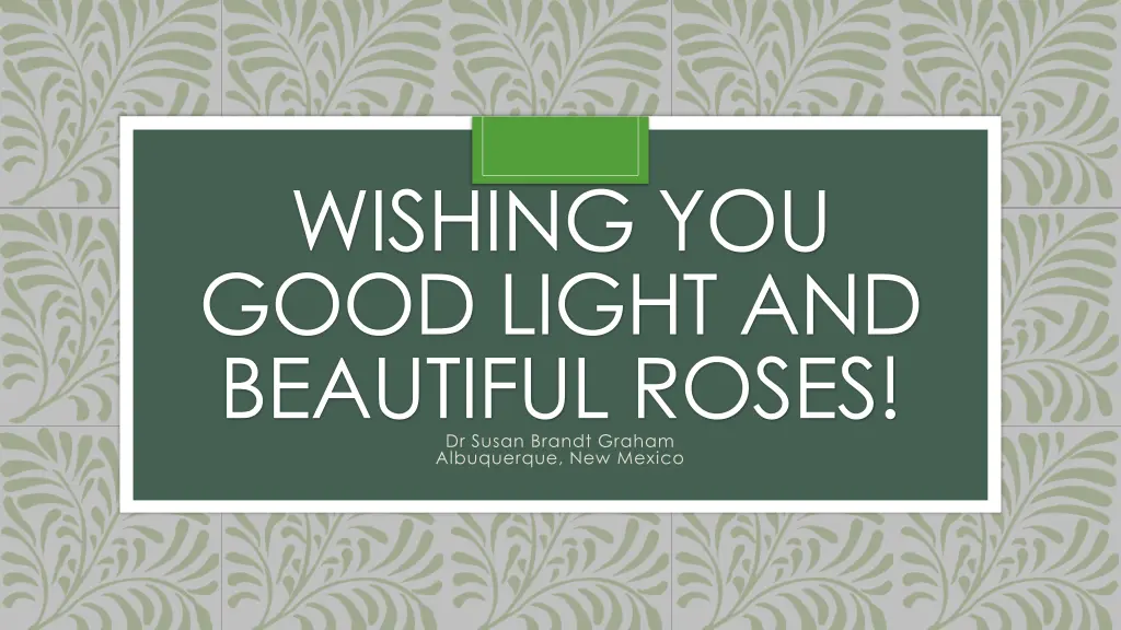 wishing you good light and beautiful roses