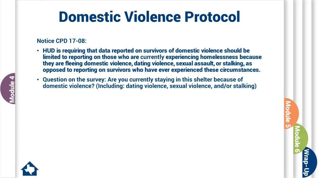 domestic violence protocol