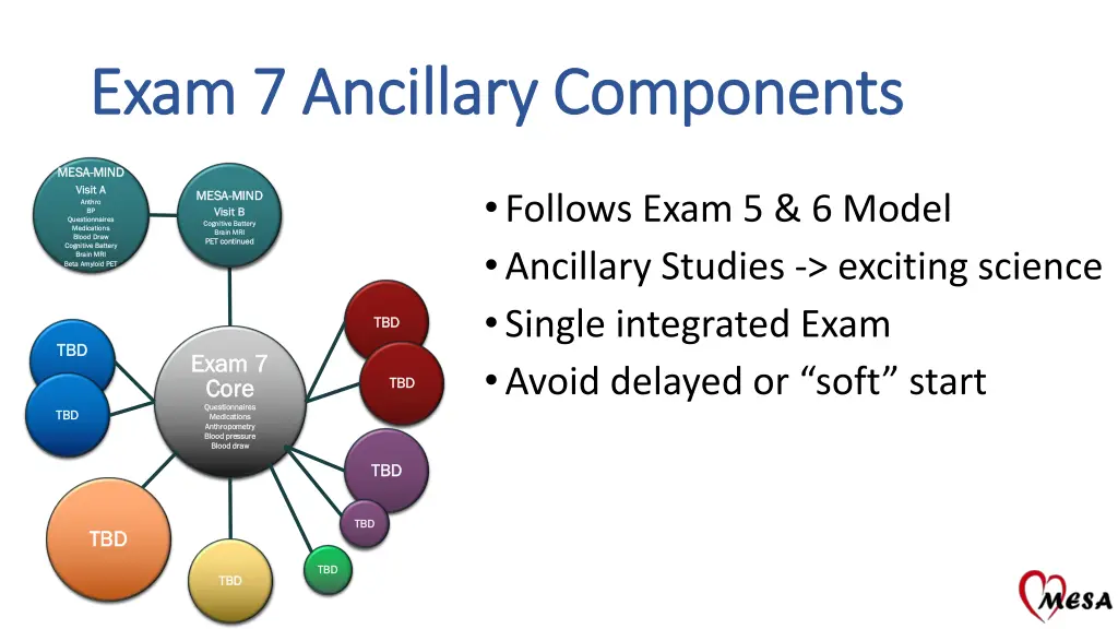 exam 7 ancillary components exam 7 ancillary
