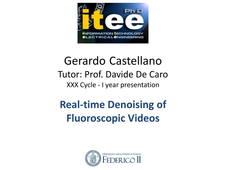 gerardo castellano tutor prof davide de caro