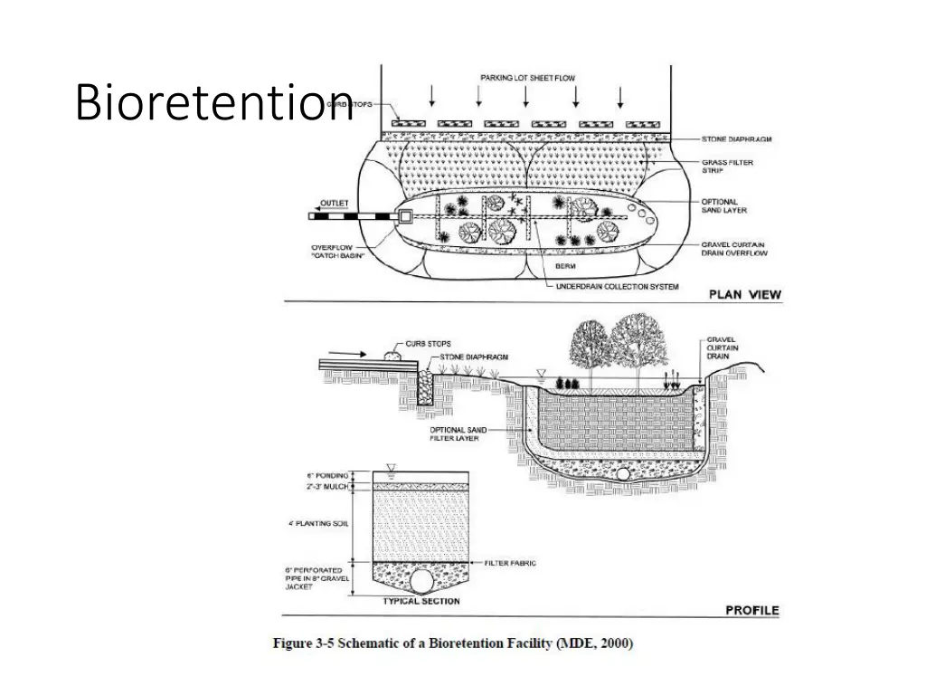 bioretention
