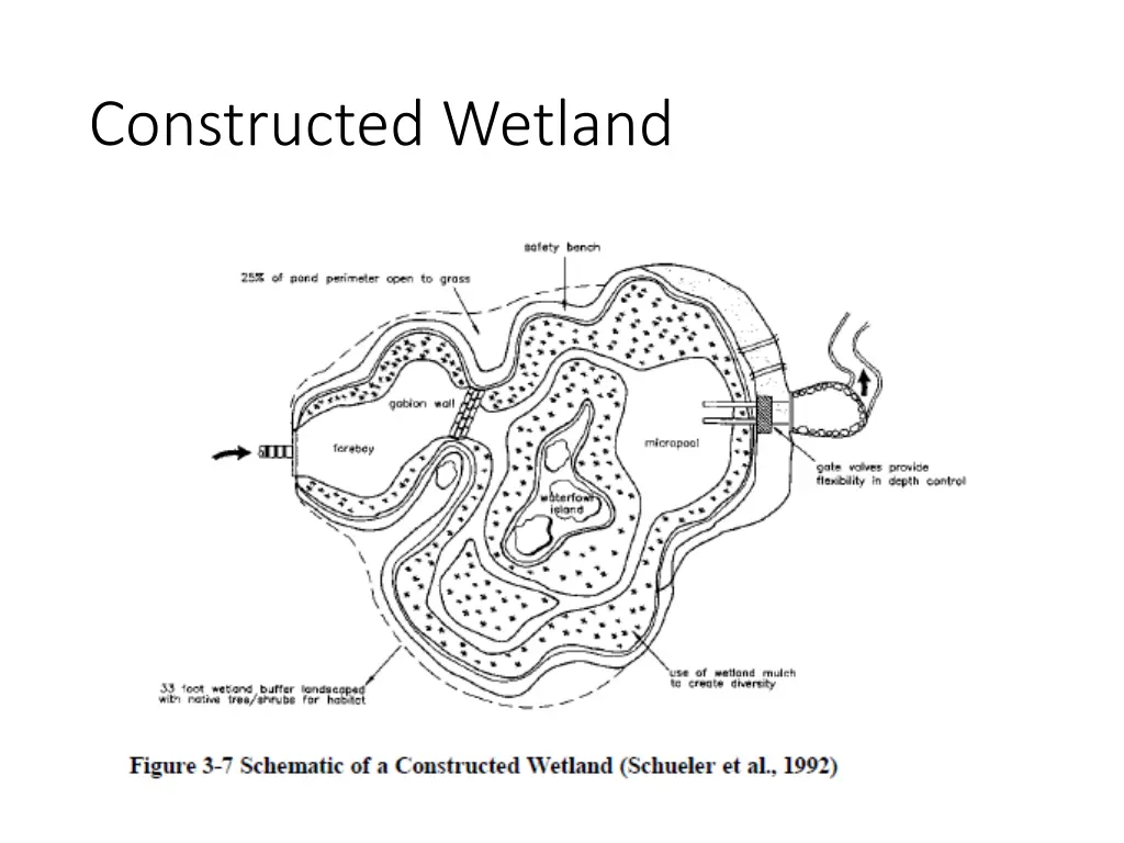 constructed wetland