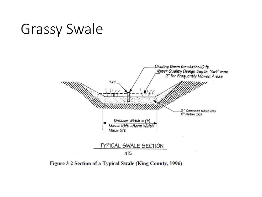 grassy swale