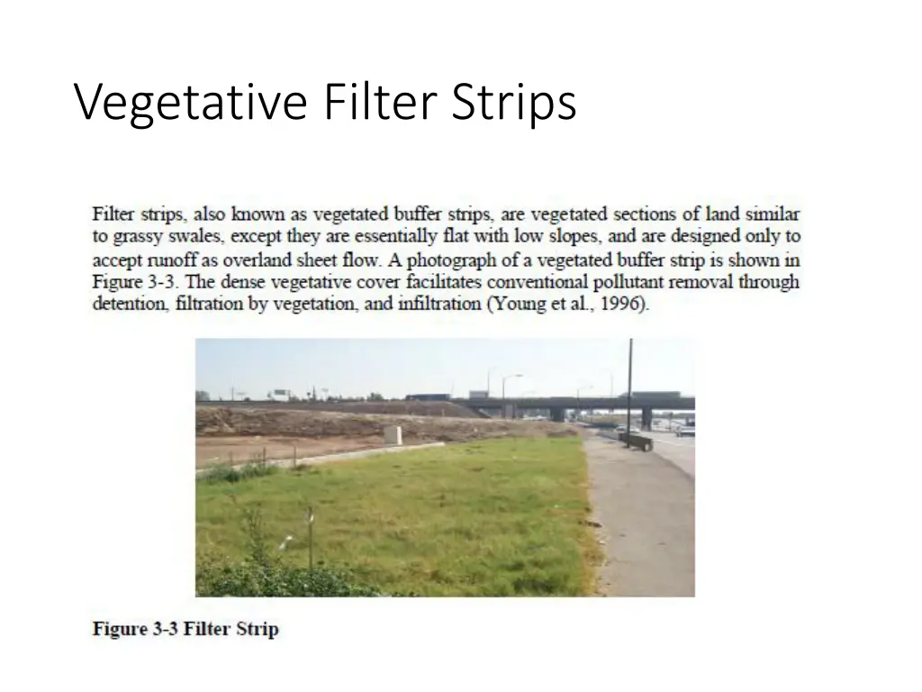 vegetative filter strips