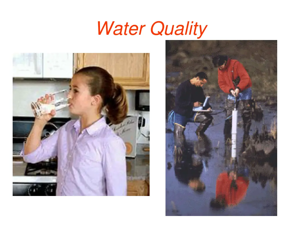 water quality