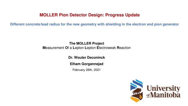 moller pion detector design progress update
