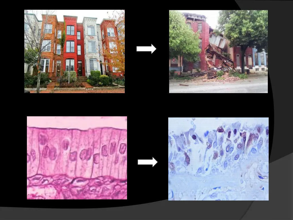 slide10