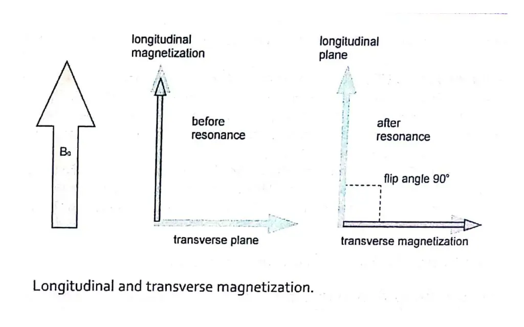 slide25