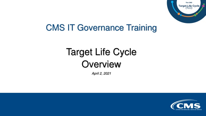 cms it governance training