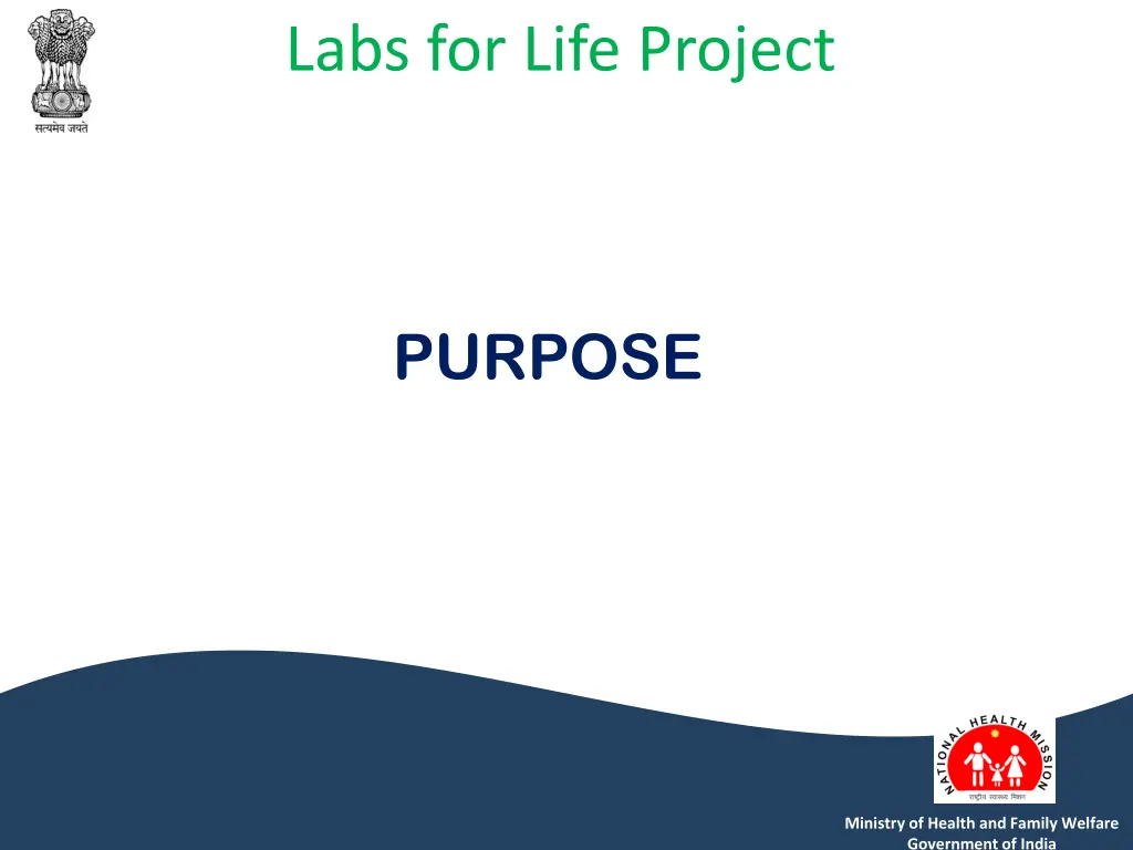 labs for life project 1