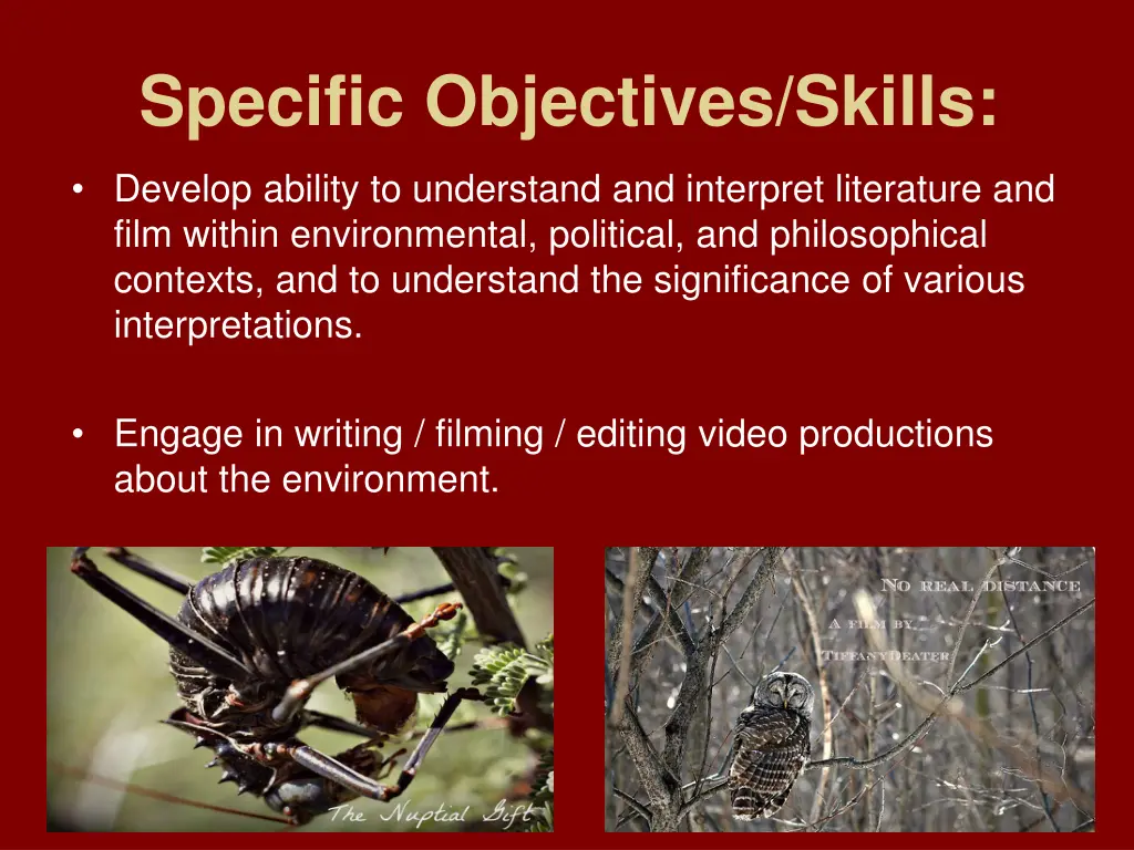 specific objectives skills