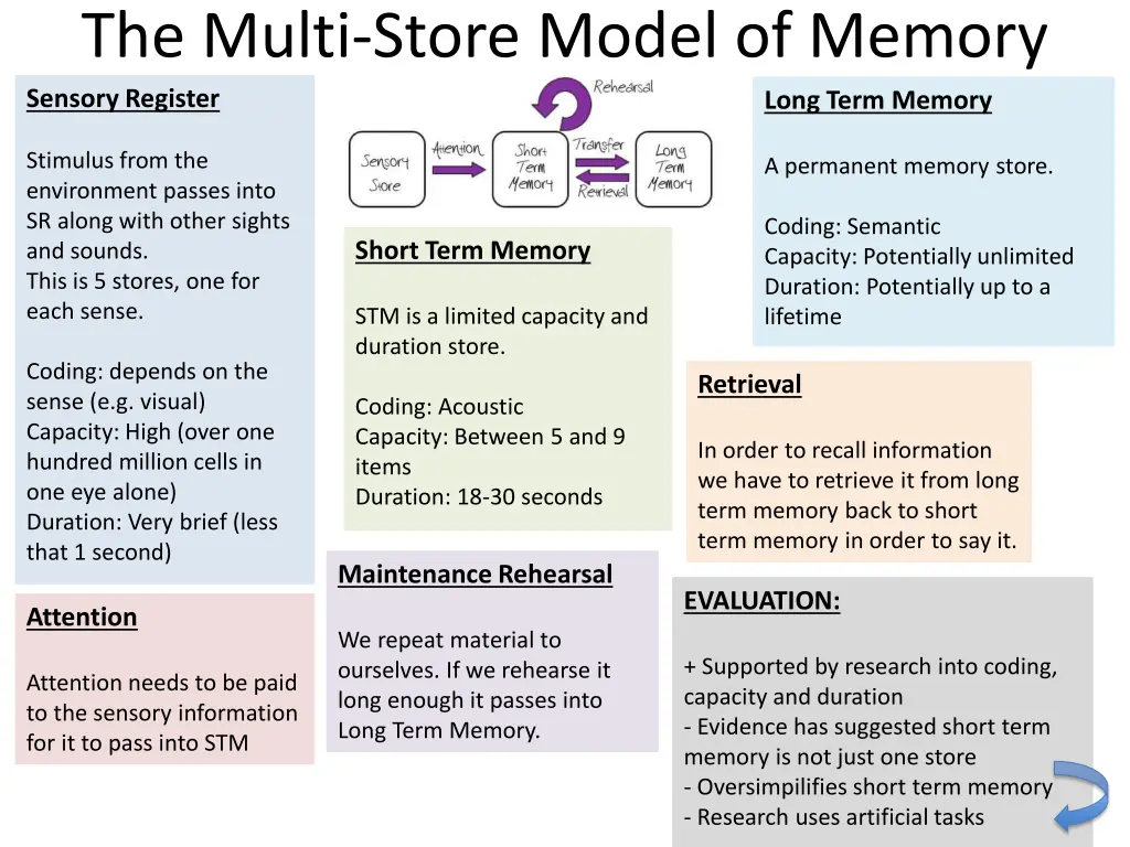 the multi store model of memory sensory register