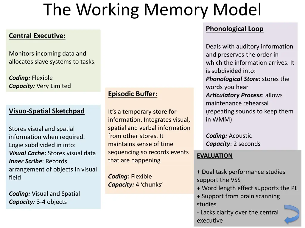 the working memory model