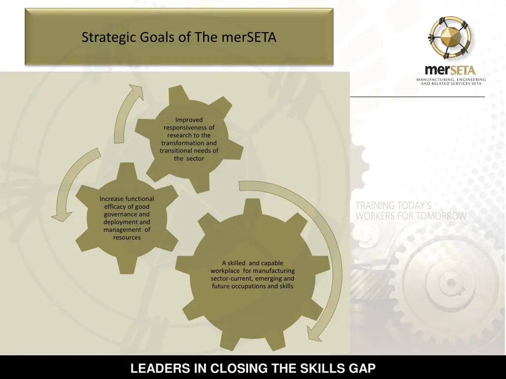 strategic goals of the merseta