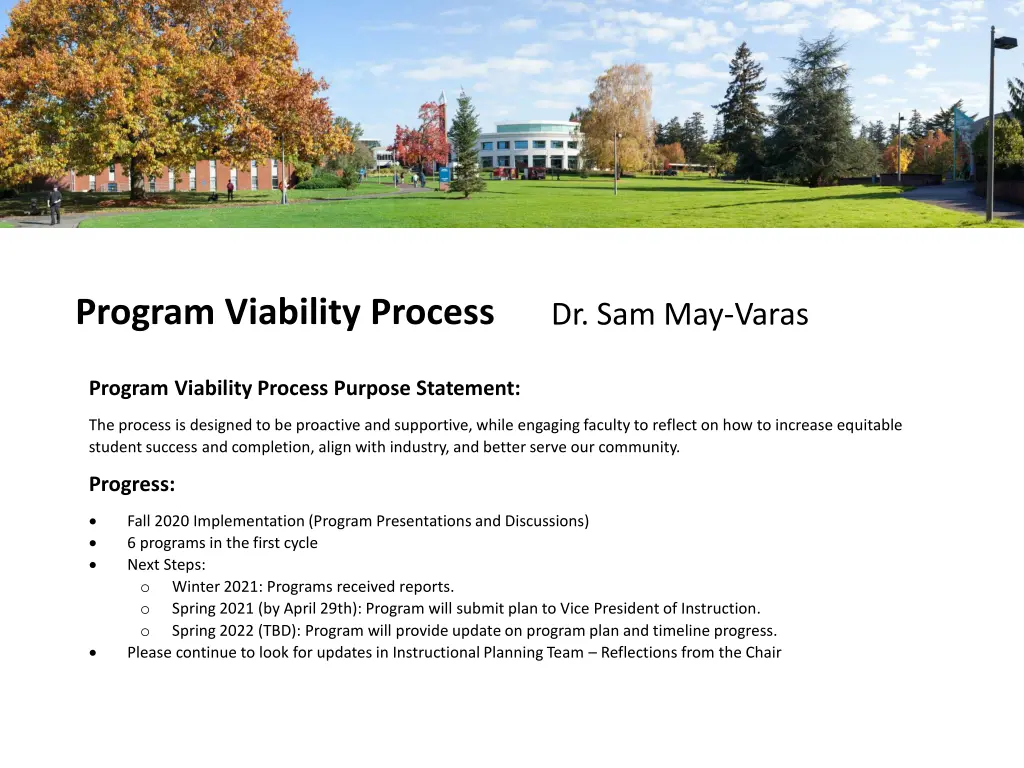 program viability process
