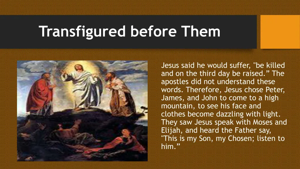 transfigured before them
