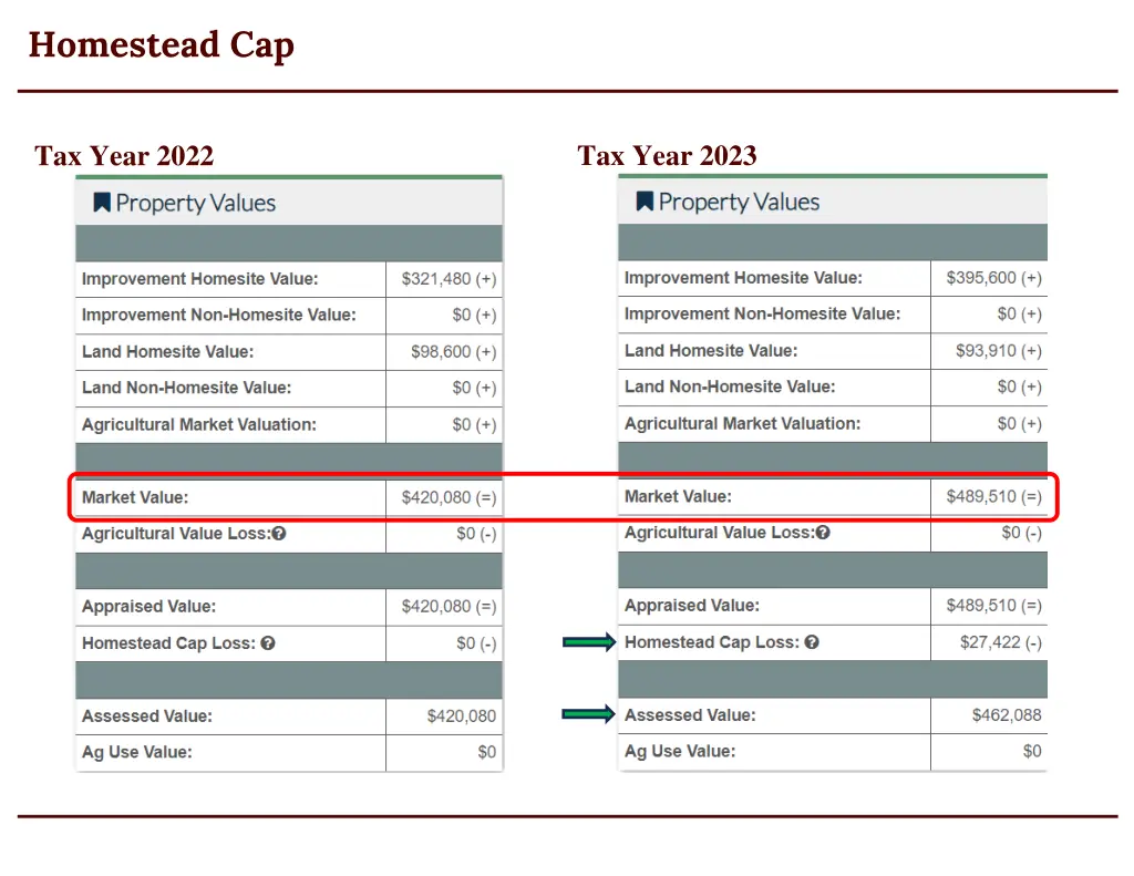 homestead cap 1