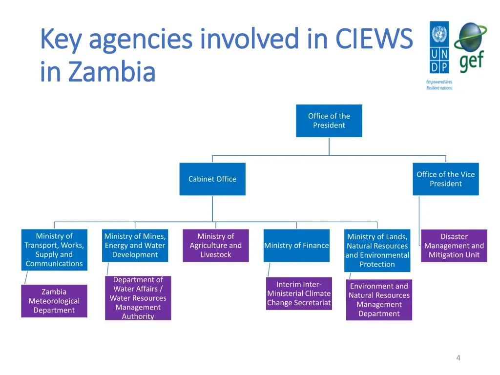 key agencies involved in ciews key agencies