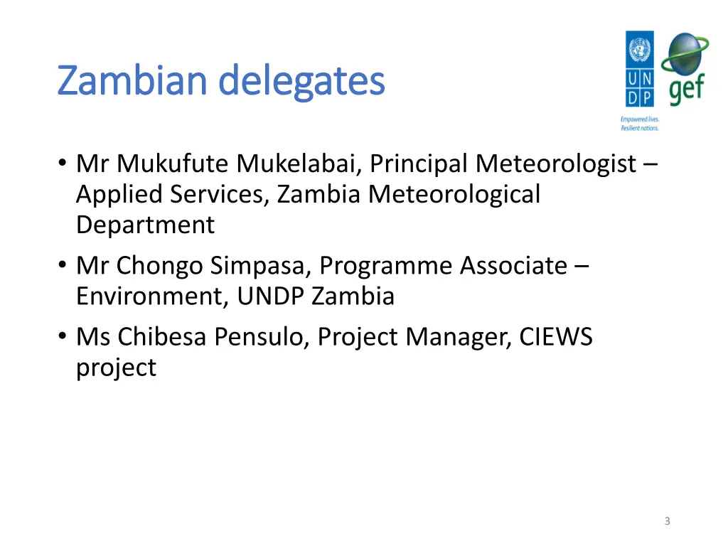 zambian delegates zambian delegates
