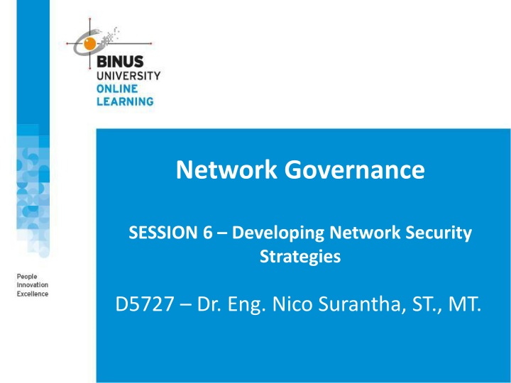 network governance
